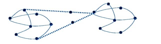 Netzwerk